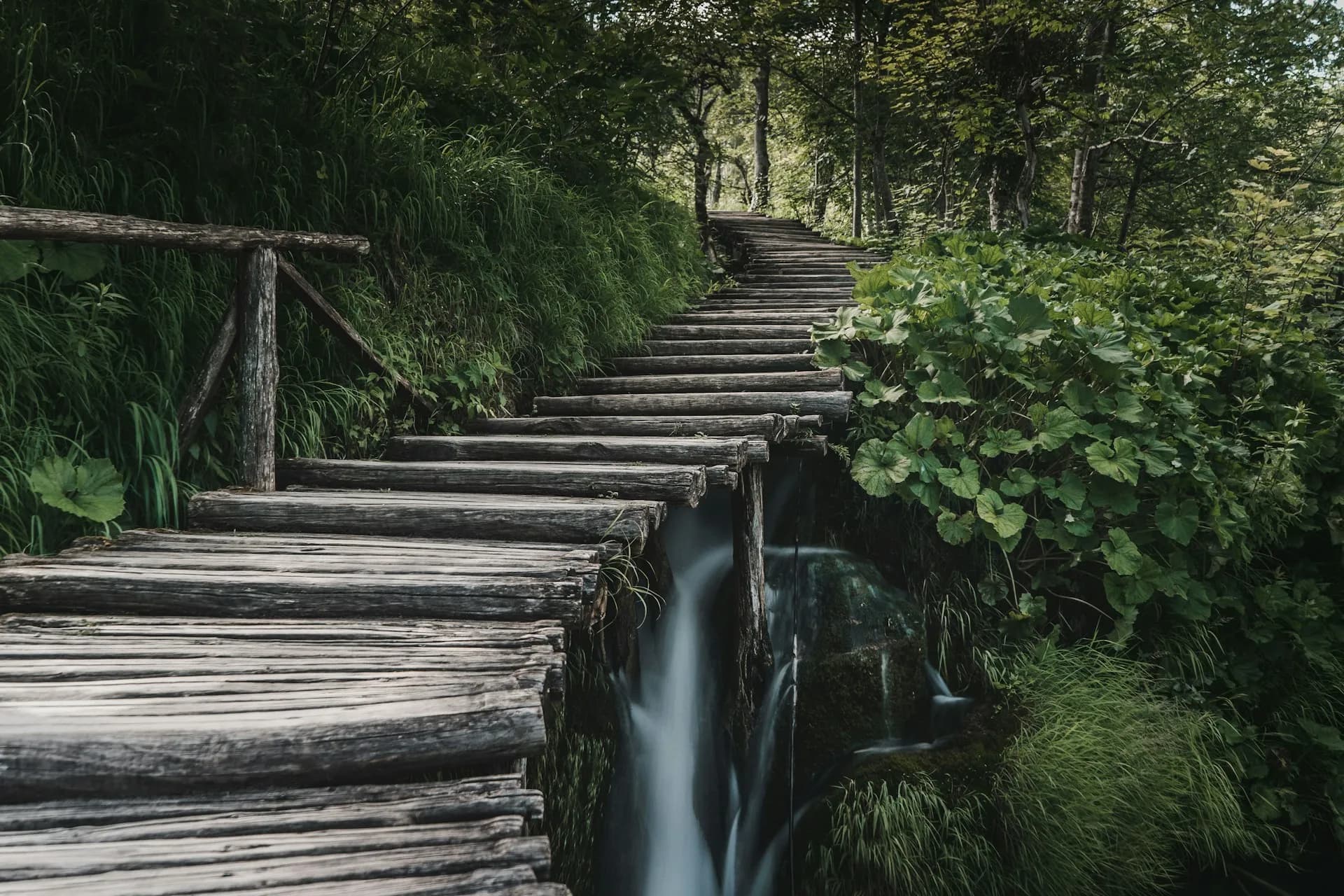 Plitvice Lakes National Park, Croatia — photo 5