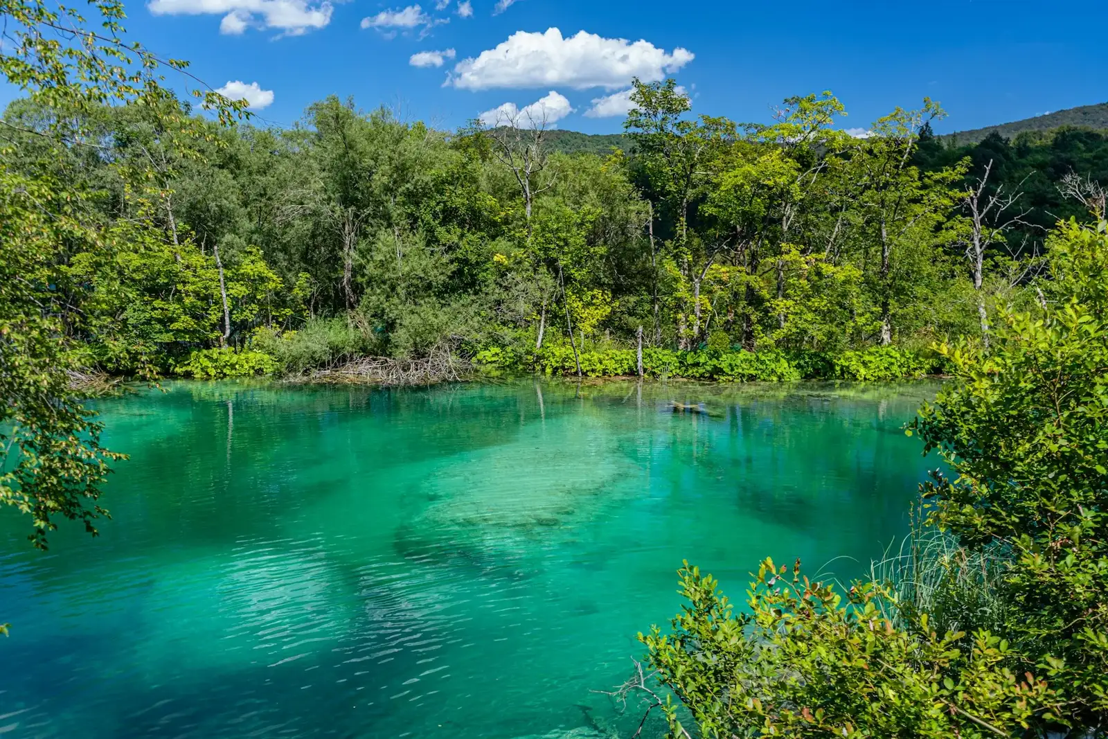 Plitvice Lakes National Park, Croatia — photo 6